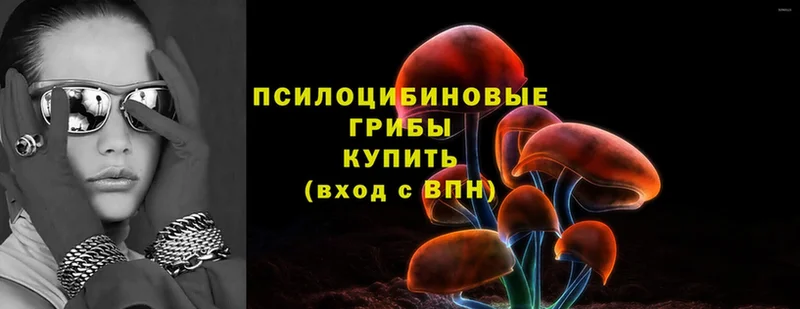 Галлюциногенные грибы Magic Shrooms  Елец 